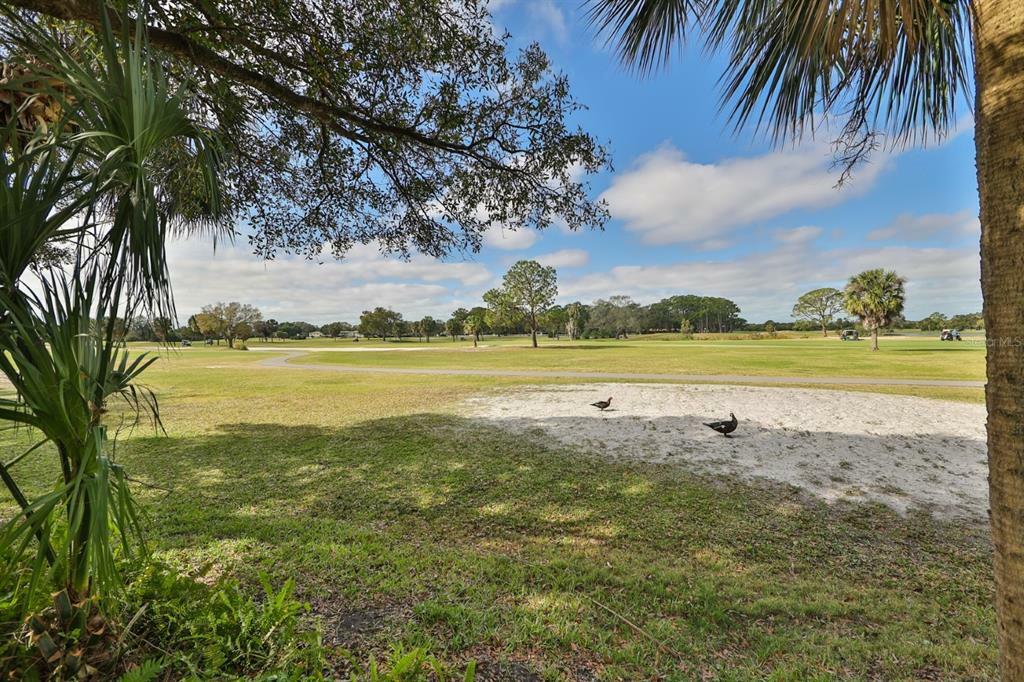 Property Photo:  1050 Starkey Road 2703  FL 33771 