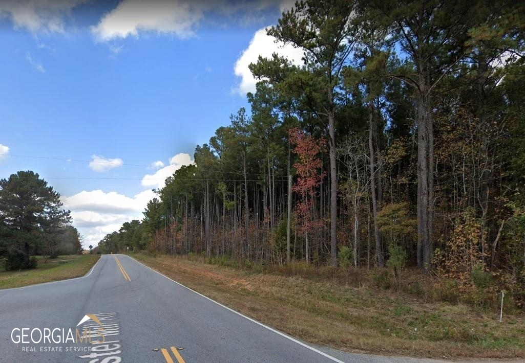 Property Photo:  None S Lester Mill Road SW  GA 30248 