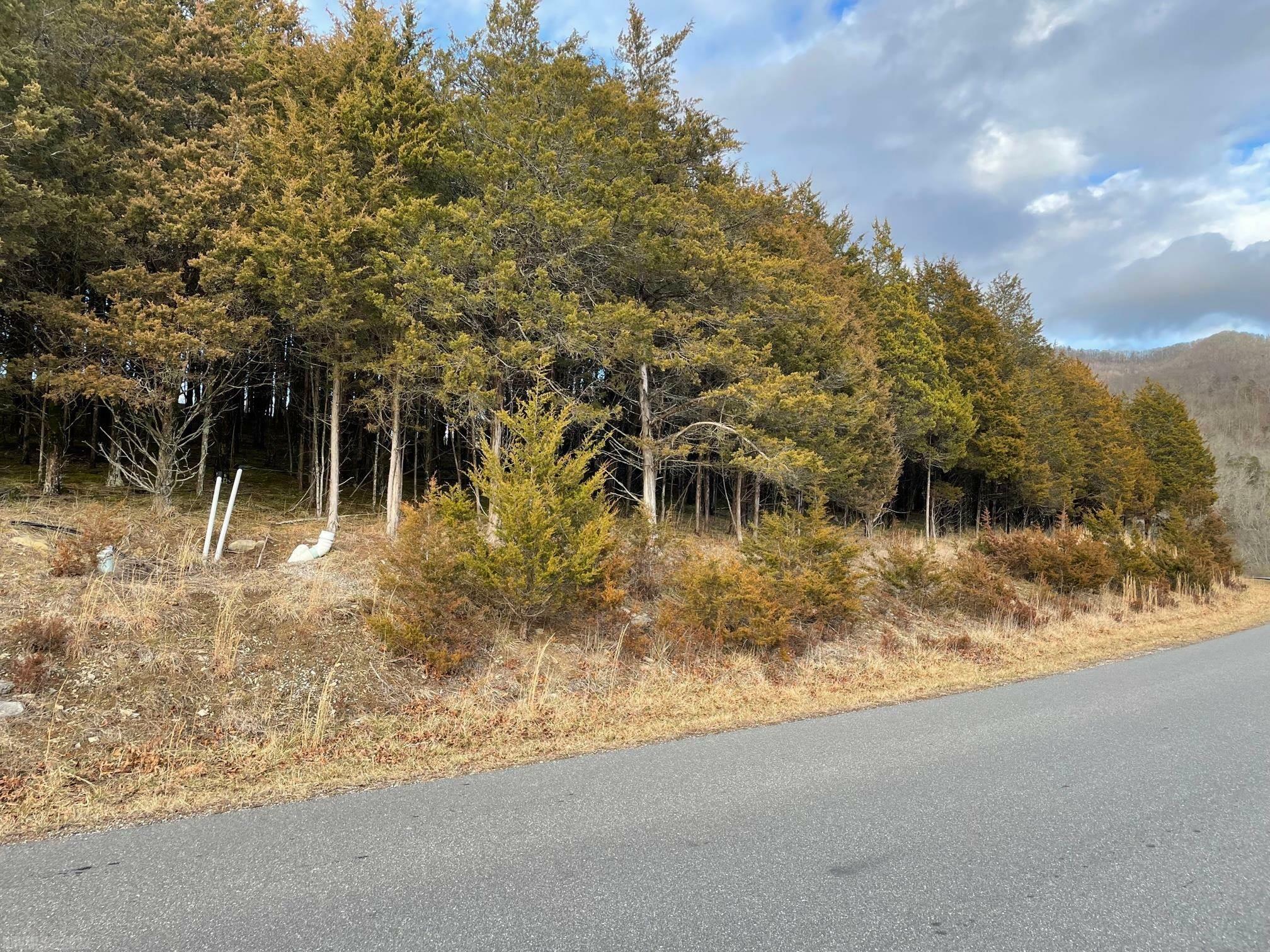 Property Photo:  Tbd Plank Drive  VA 24060 