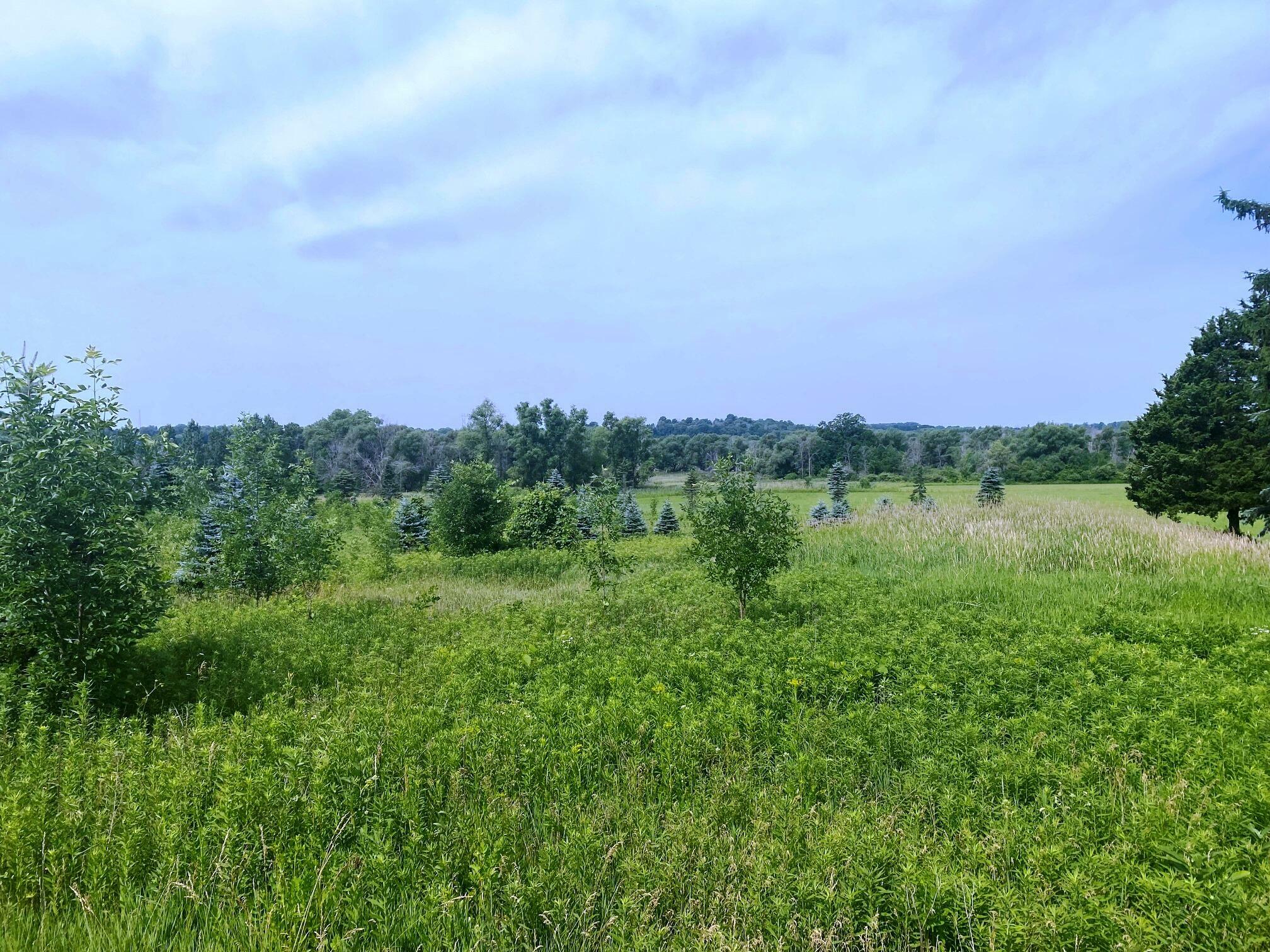 Property Photo:  Lt1 Weis St  WI 53002 