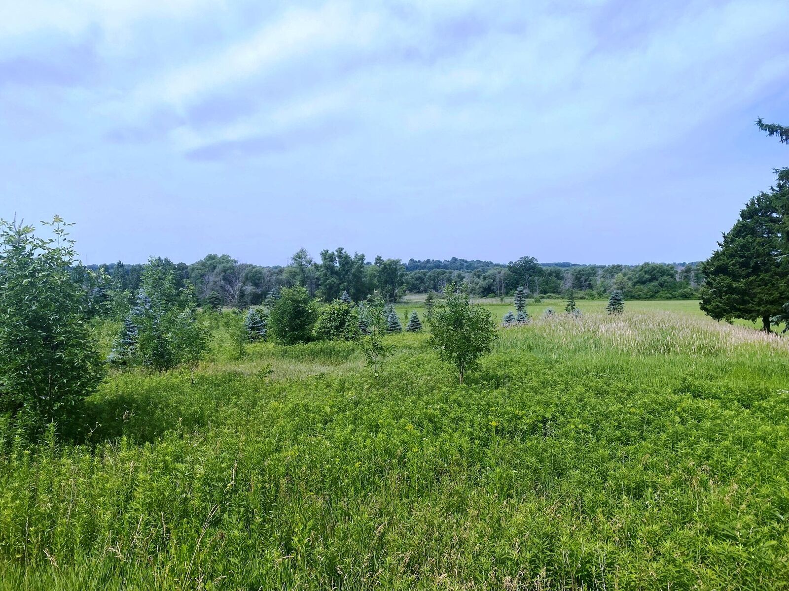 Property Photo: Lt1 Weis St WI 53002