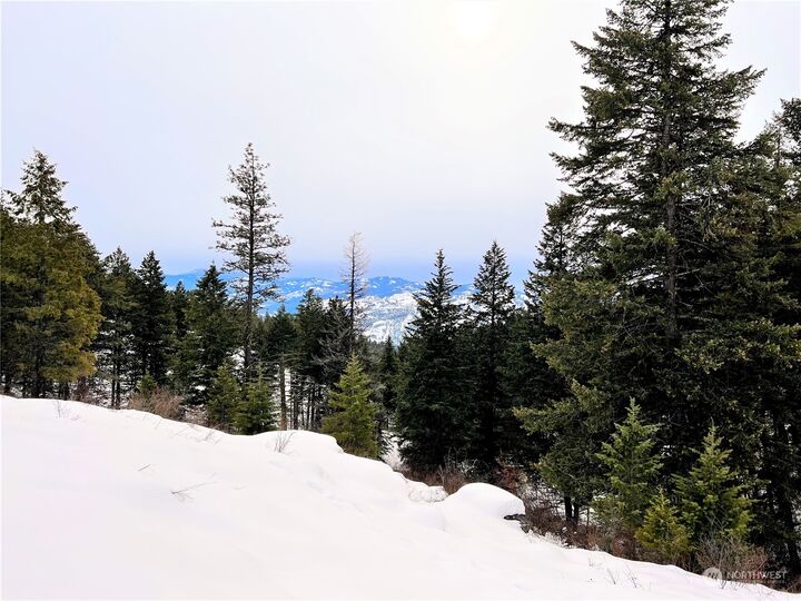 Property Photo:  0 Lot 162 Union Ridge Road  WA 99166 