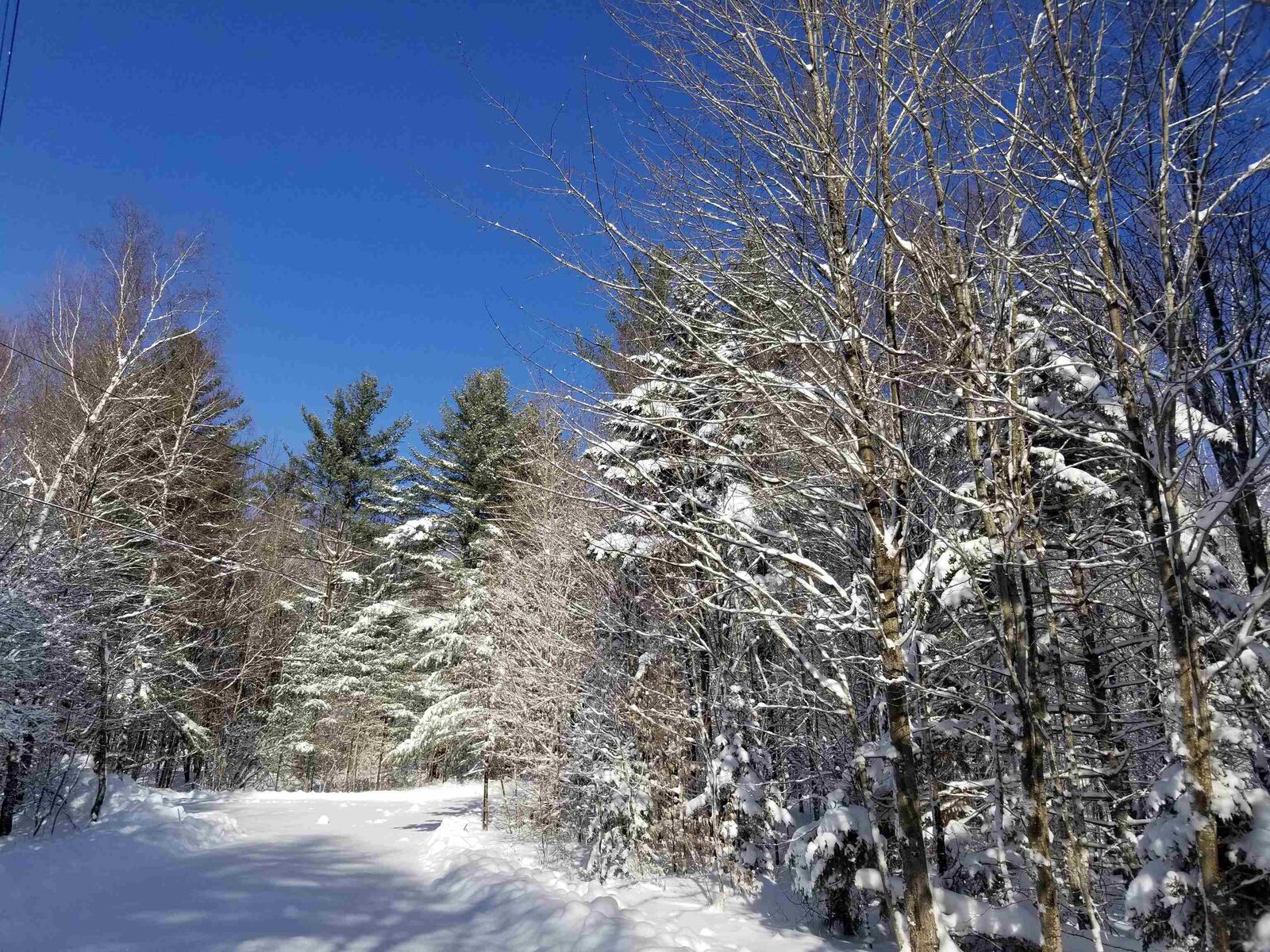 Property Photo:  1838 Center Fayston Road Lot #2  VT 05660 