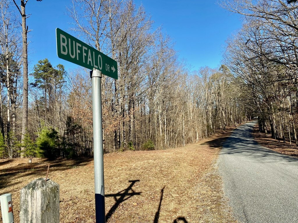 Property Photo:  Lot 45 Buffalo Drive  VA 24529 