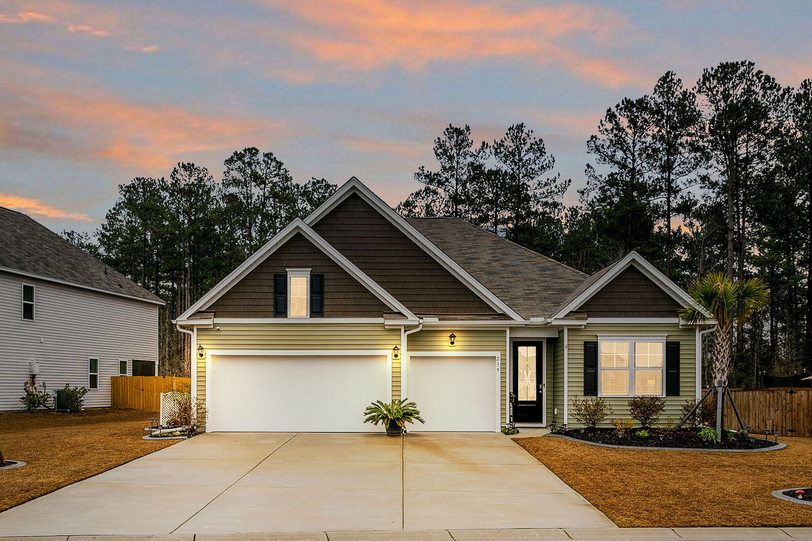 Property Photo: 239 Celestial Boulevard SC 29486