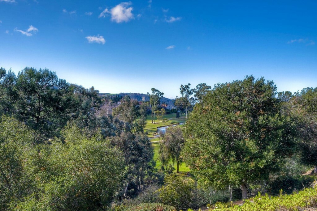 Property Photo: 2949 Avenida Valera CA 92009
