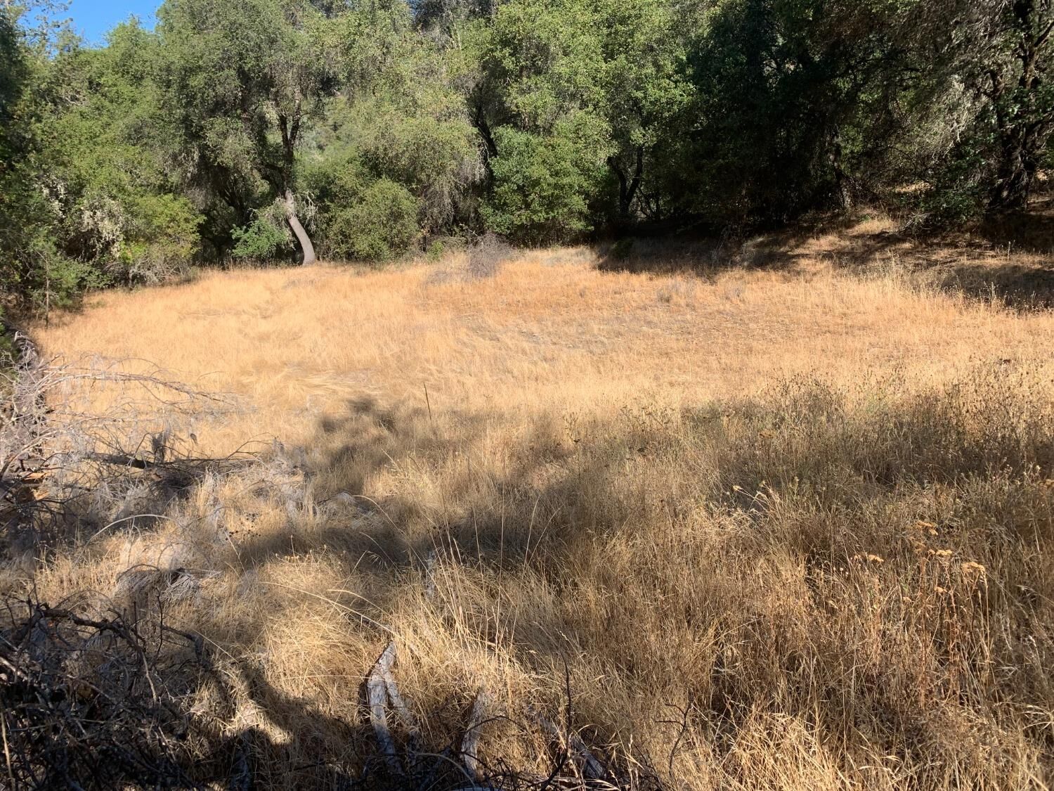 Property Photo:  7101 Morning Canyon Road  CA 95667 