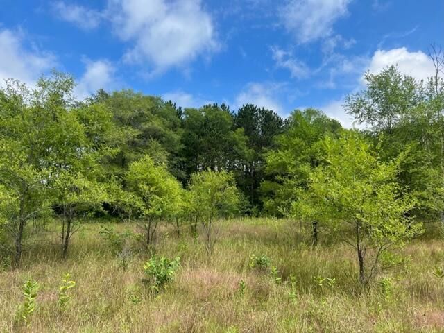 Property Photo:  Xxx4.8 Camp 3 Road  MN 55025 