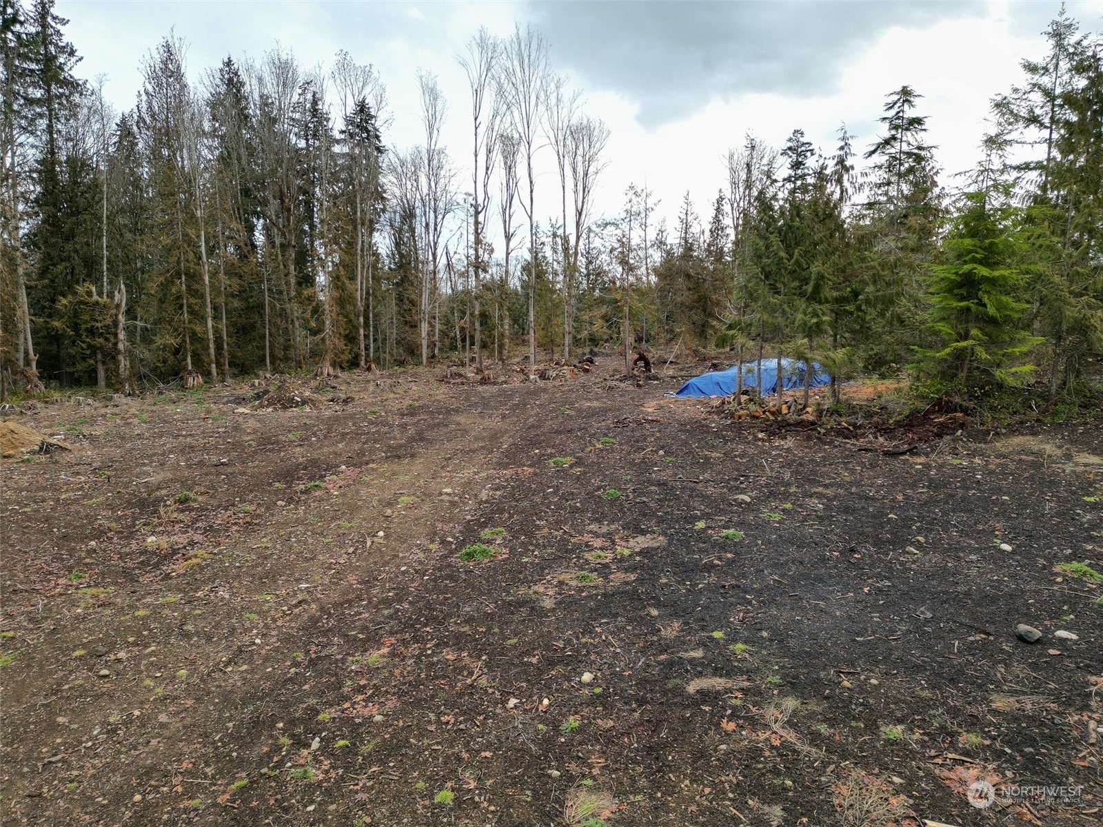 Property Photo:  9999 S Doss Road  WA 98362 