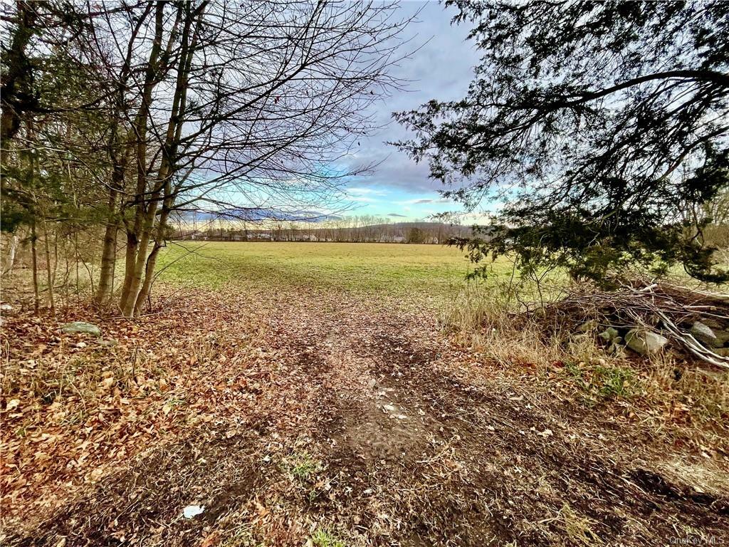 Property Photo:  Plains Road Ws  NY 12586 