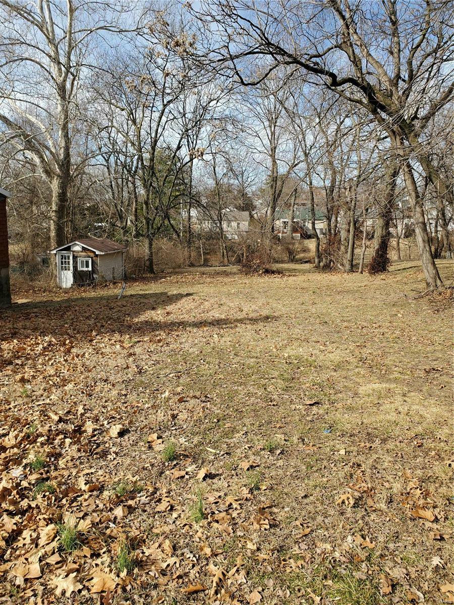 1441 West Billon Avenue  St Louis MO 63139 photo