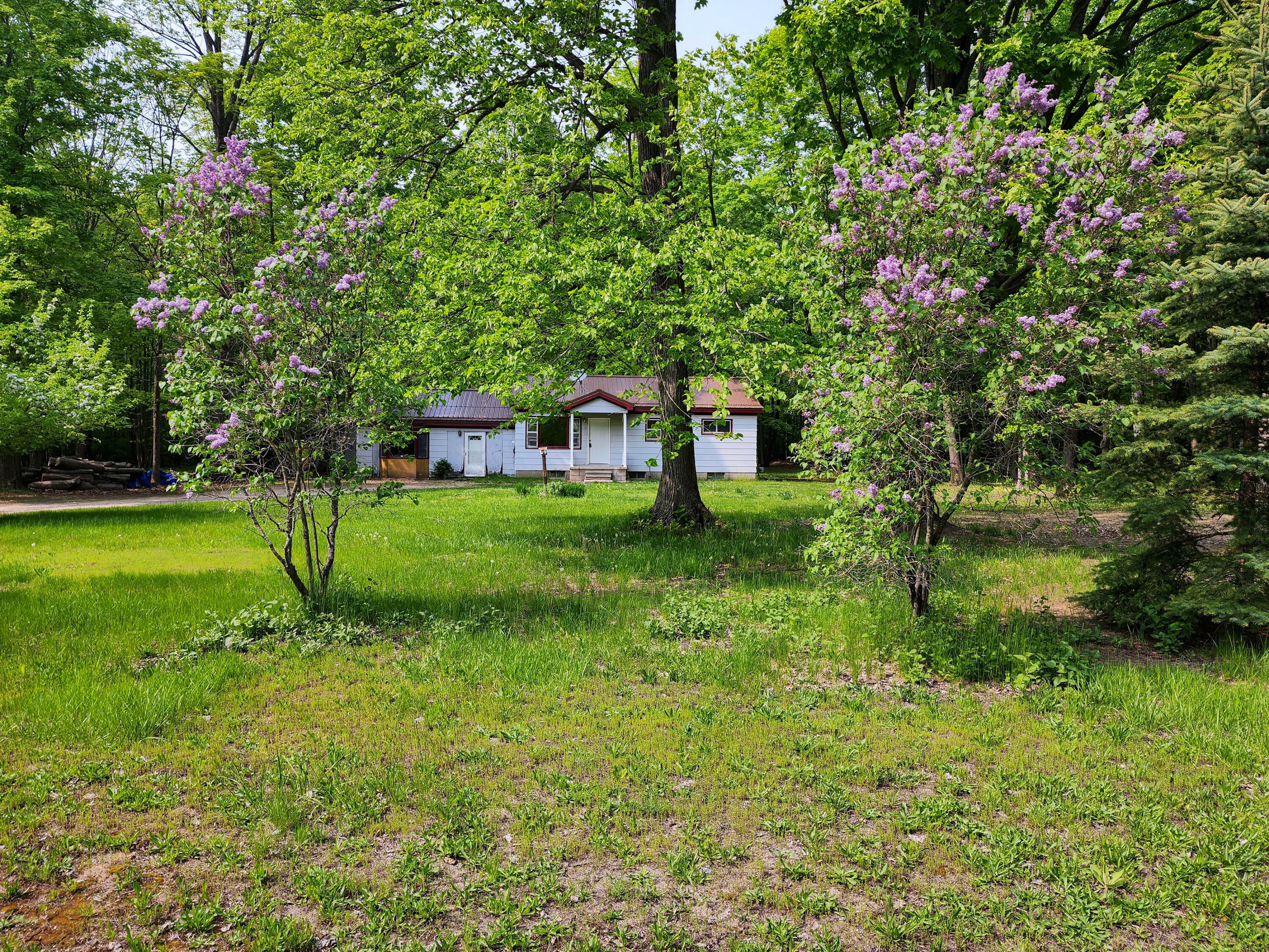 Property Photo:  4671 Long Lake Road  MI 49721 