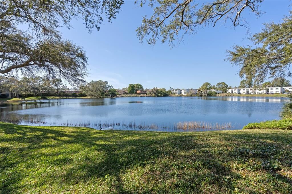 Property Photo:  627 N Keene Road T-4  FL 33755 