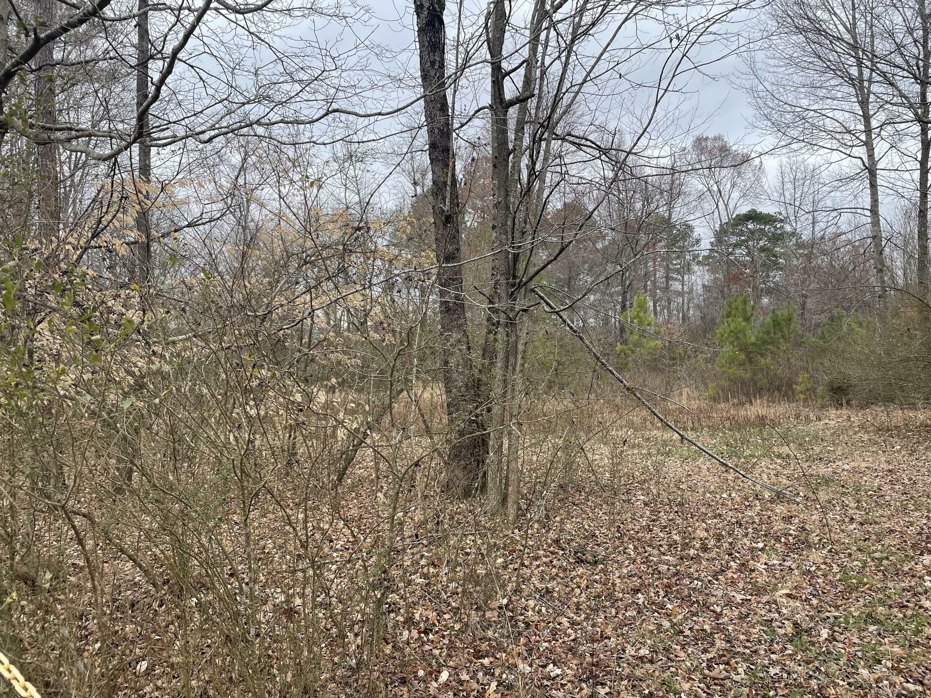 Property Photo:  249 Graham Road  GA 30739 