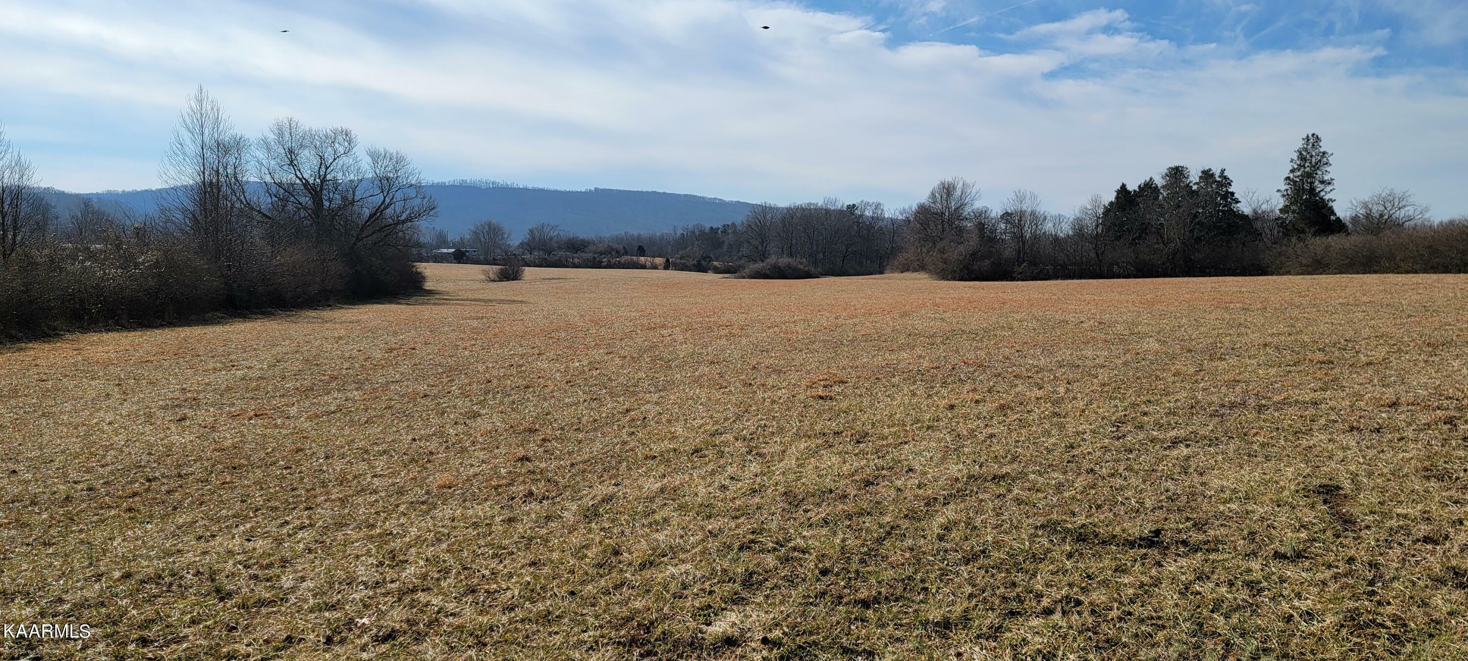 Property Photo:  Lot 5-8 Westel Rd  TN 37854 