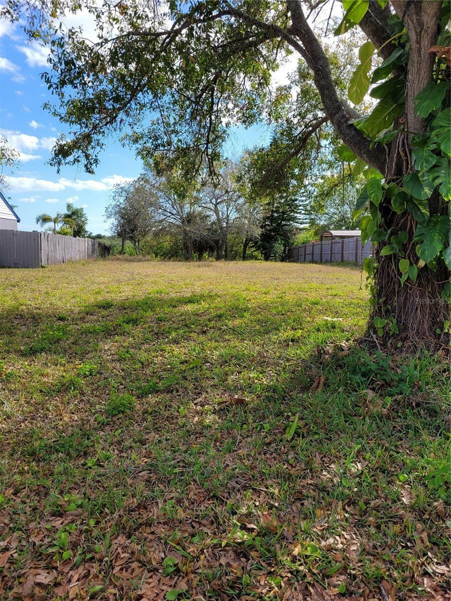 Property Photo:  1907 Cutty Bay Court  FL 34677 