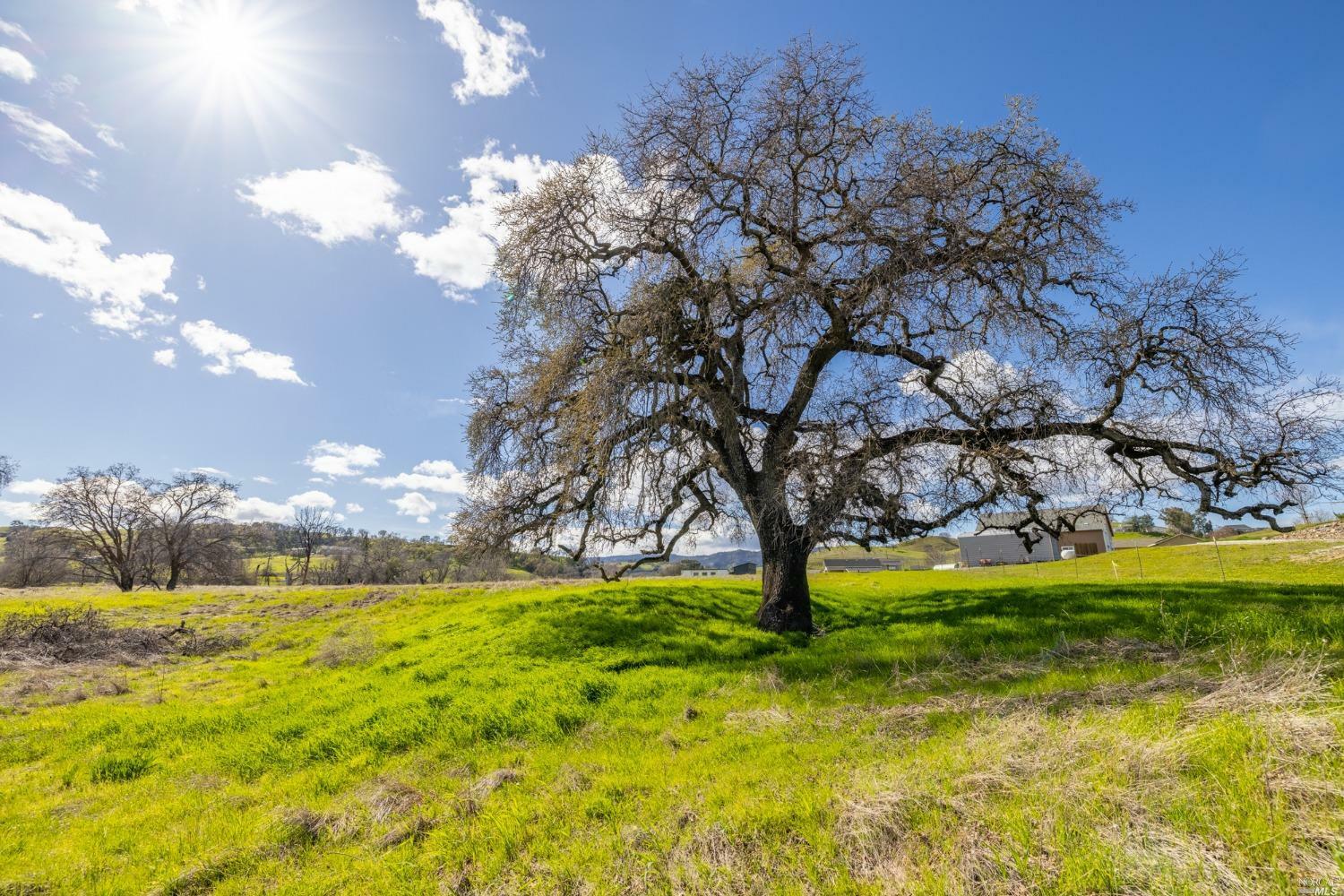 Property Photo: 5 English Creek Lane CA 95688