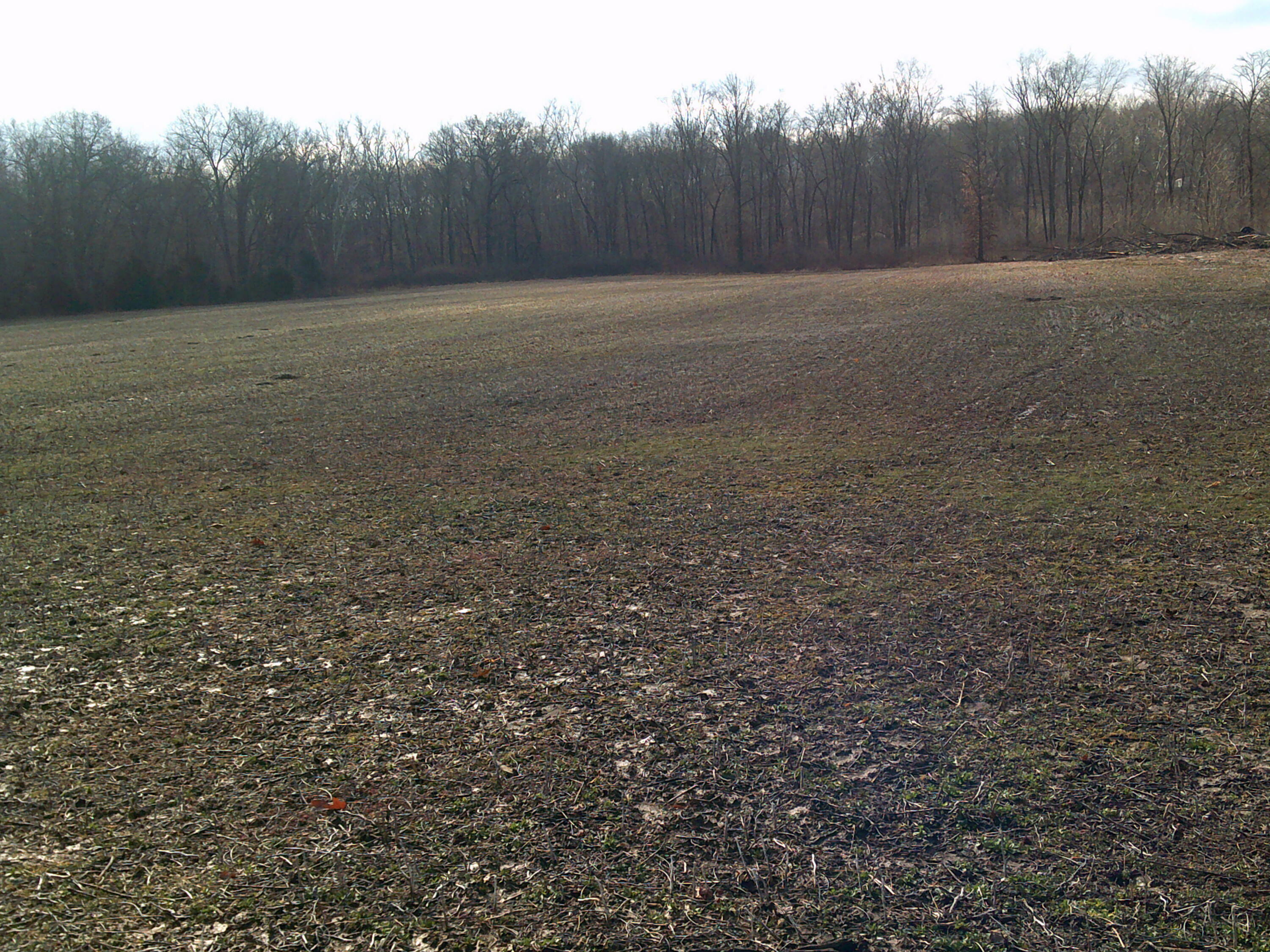 Property Photo:  State Rd B  MO 65231 