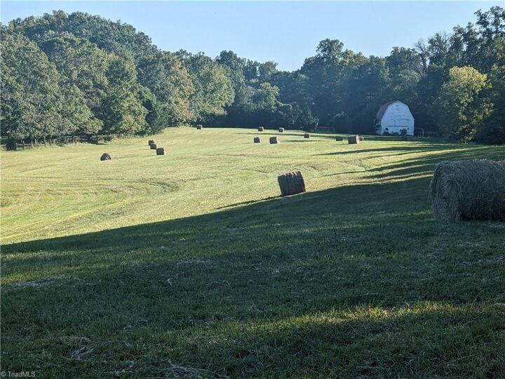000 Conrad Road  Lewisville NC 27023 photo