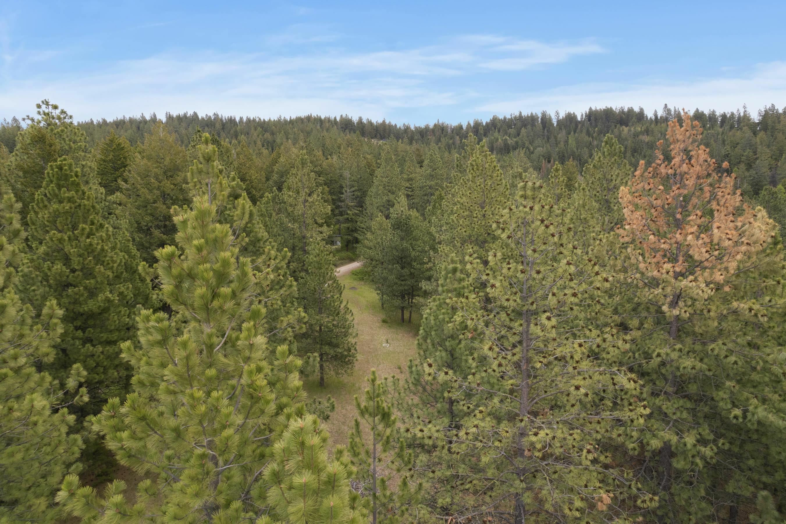 Property Photo: Tbd Off My Ln WA 99217