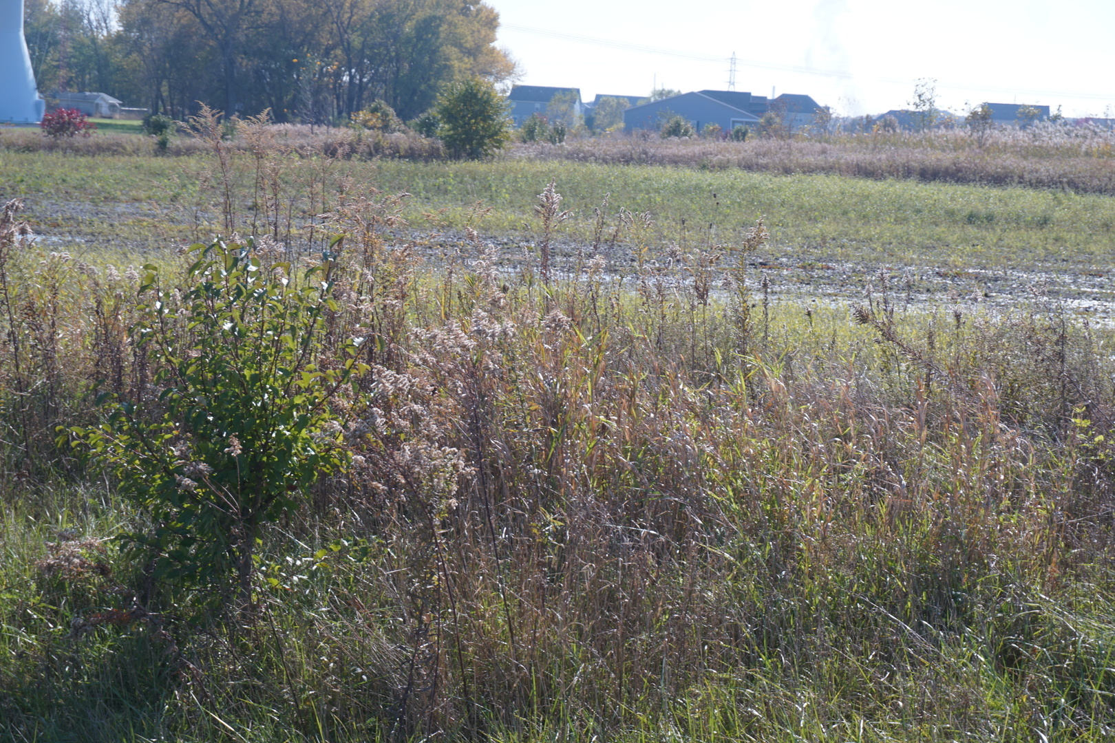 Property Photo:  Lot 5 US Rte 6 Road  IL 60410 