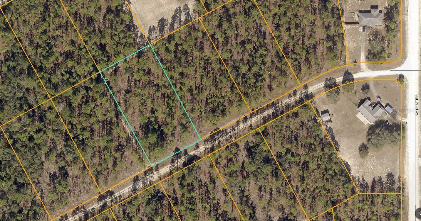 Property Photo:  SW 54th Lane Road  FL 34481 