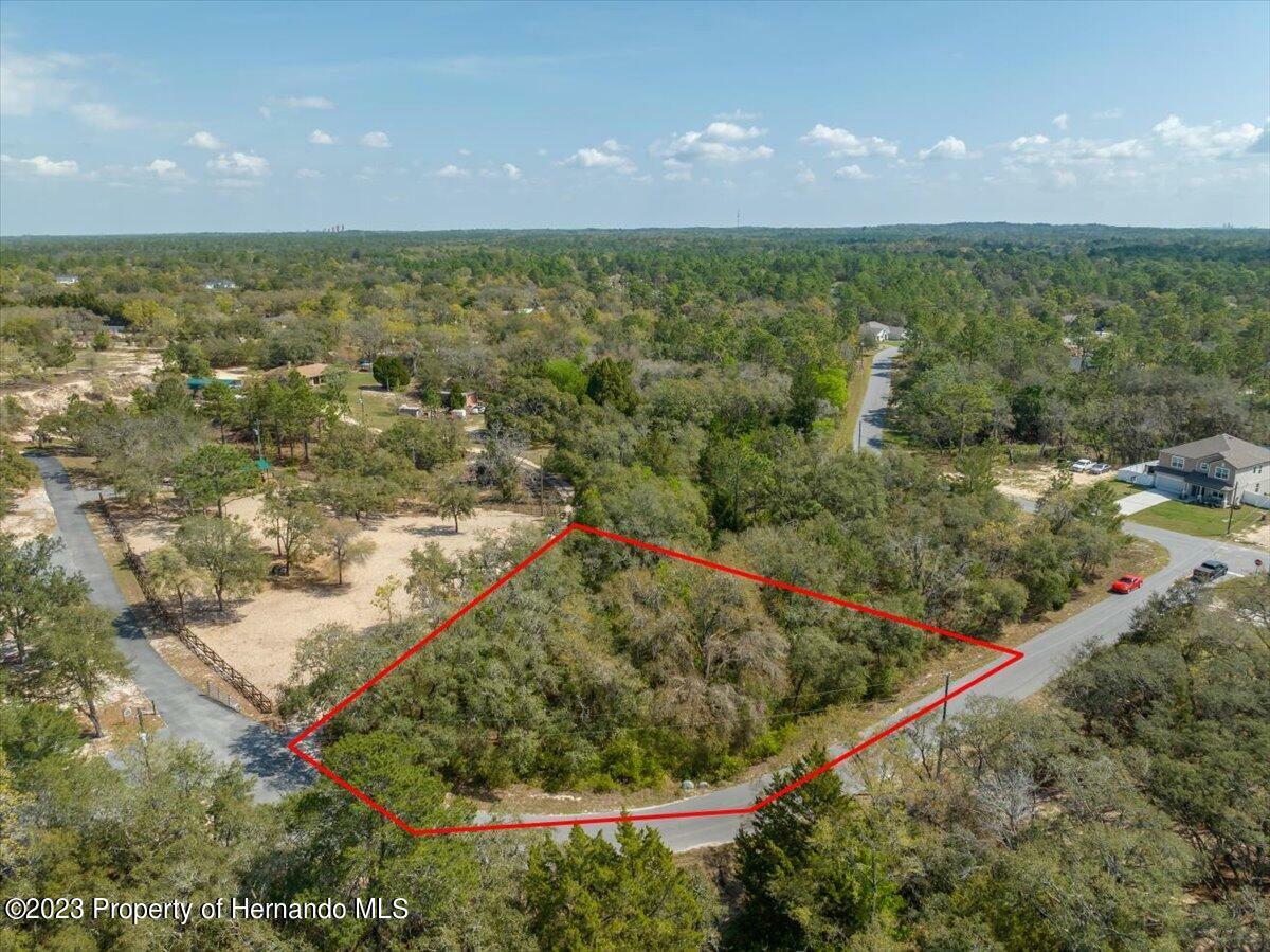 Property Photo: Lot 1 Dolquieb Lane FL 34614