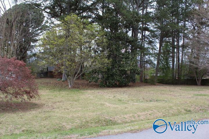 Property Photo:  Lot 9 Skidmore Drive  AL 35016 