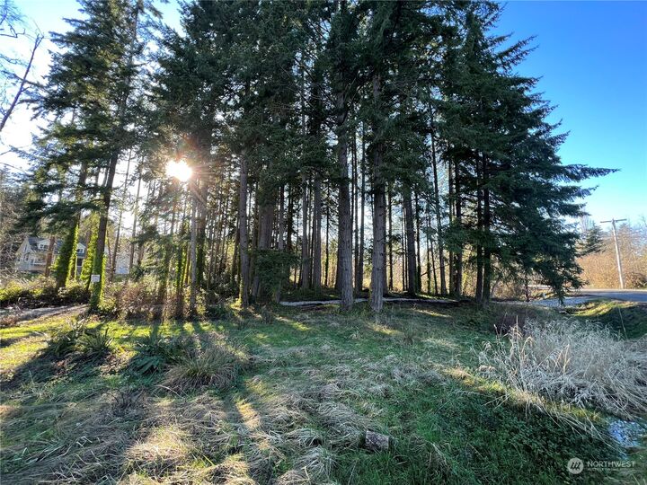 Property Photo:  15739  Virginia Loop Road NE  WA 98370 