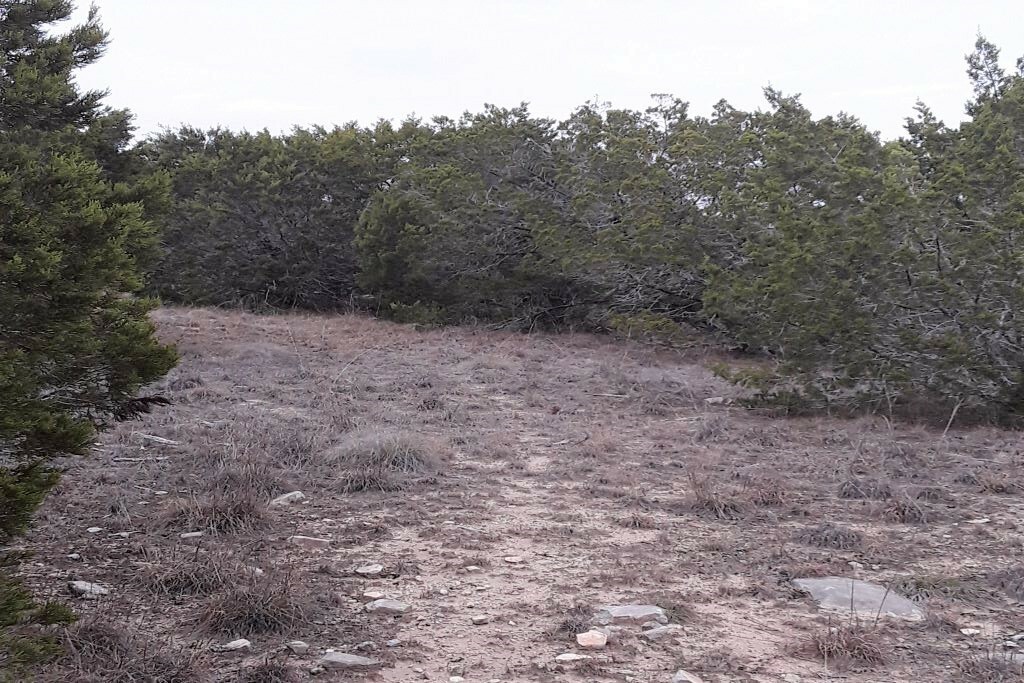 Property Photo:  Lot-116 Oak Crest Drive  TX 78605 