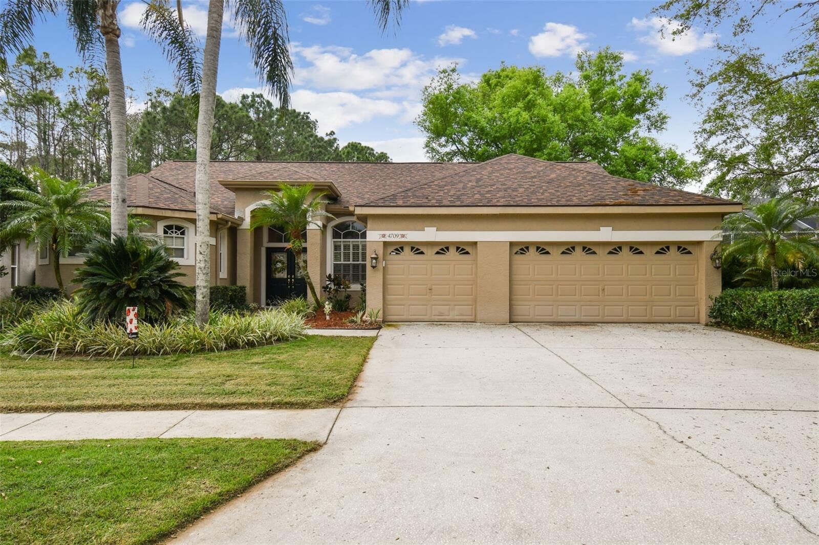 Property Photo:  4709 Highgate Boulevard  FL 34685 