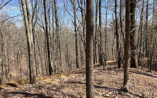 Property Photo:  1114 Bethel Ct - Lot 1114  GA 30734 