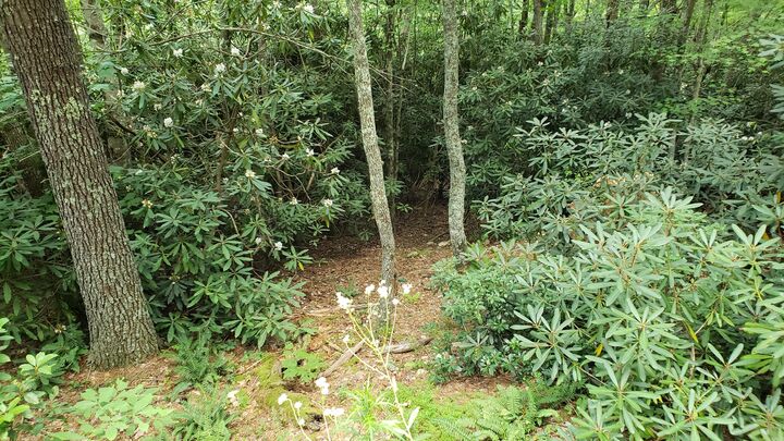 Tbd Browns Ridge Lane  Mountain City TN 37683 photo