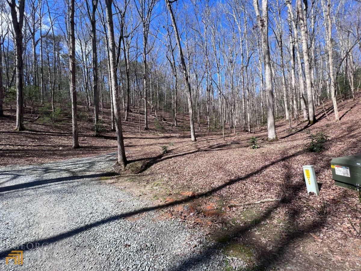 Property Photo:  Lot 22 E Gold Mine Road 4.66 Ac  GA 30536 