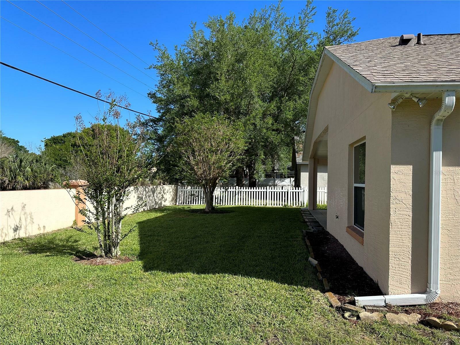 Property Photo:  33333 Kaylee Way  FL 34788 