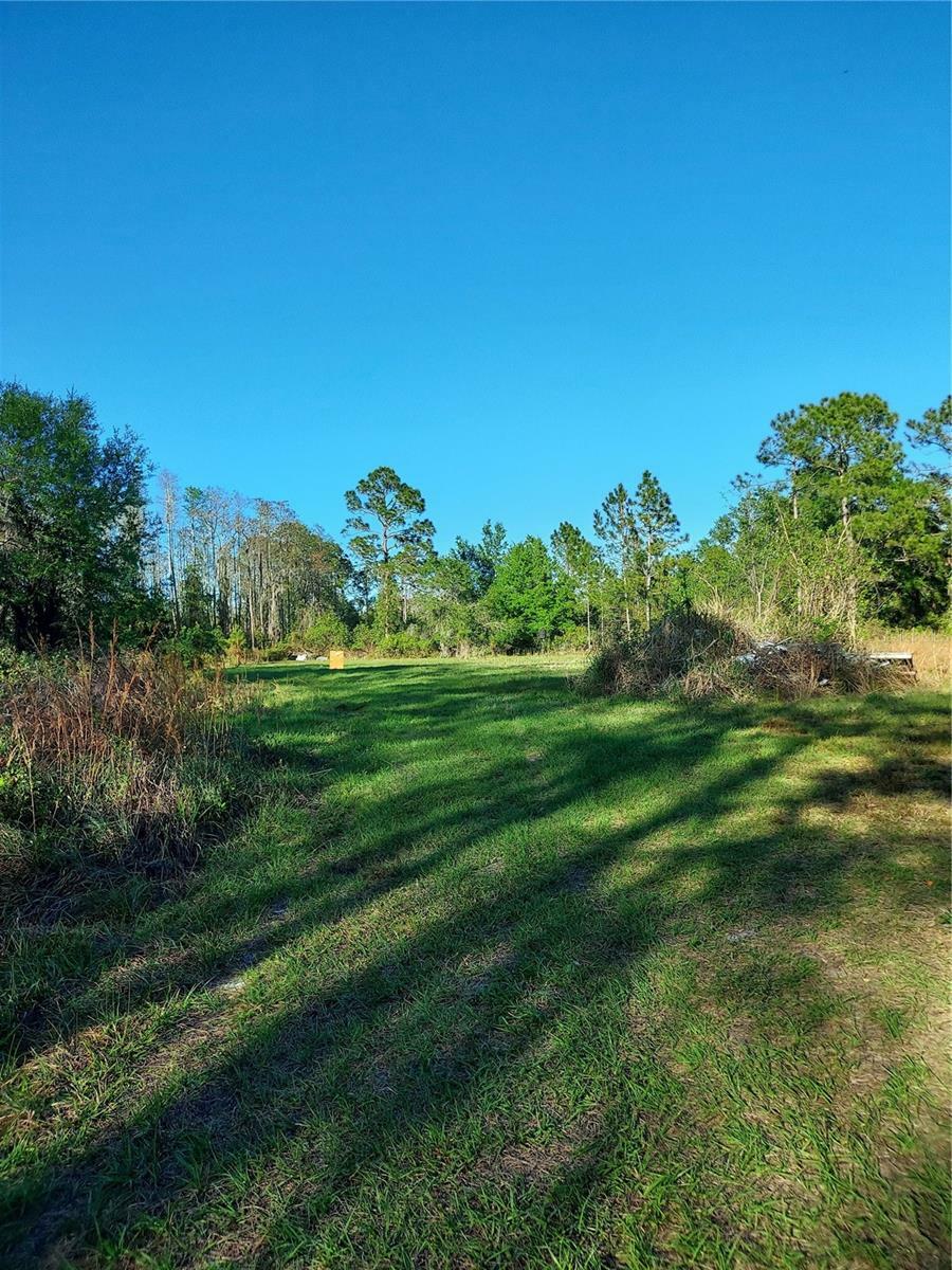 Property Photo:  00 E Osceola Road  FL 32732 