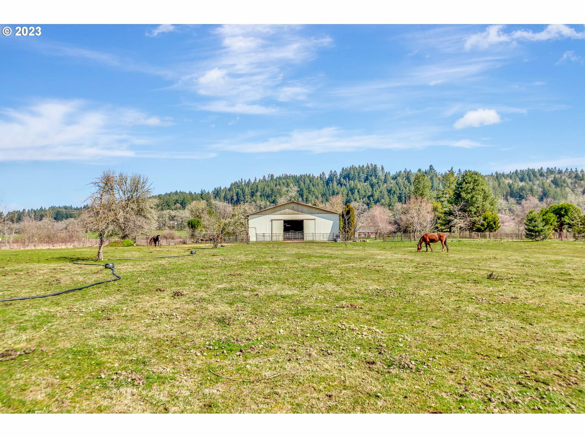 Property Photo: 25939 Krugur Park Rd OR 97448