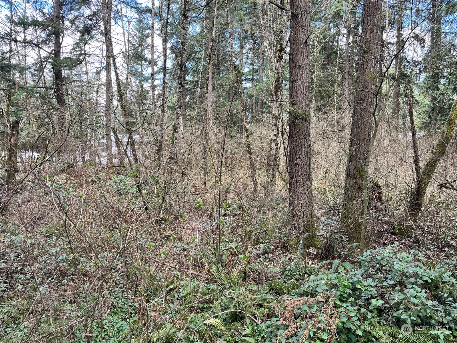 Property Photo:  0 113th Avenue E  WA 98338 