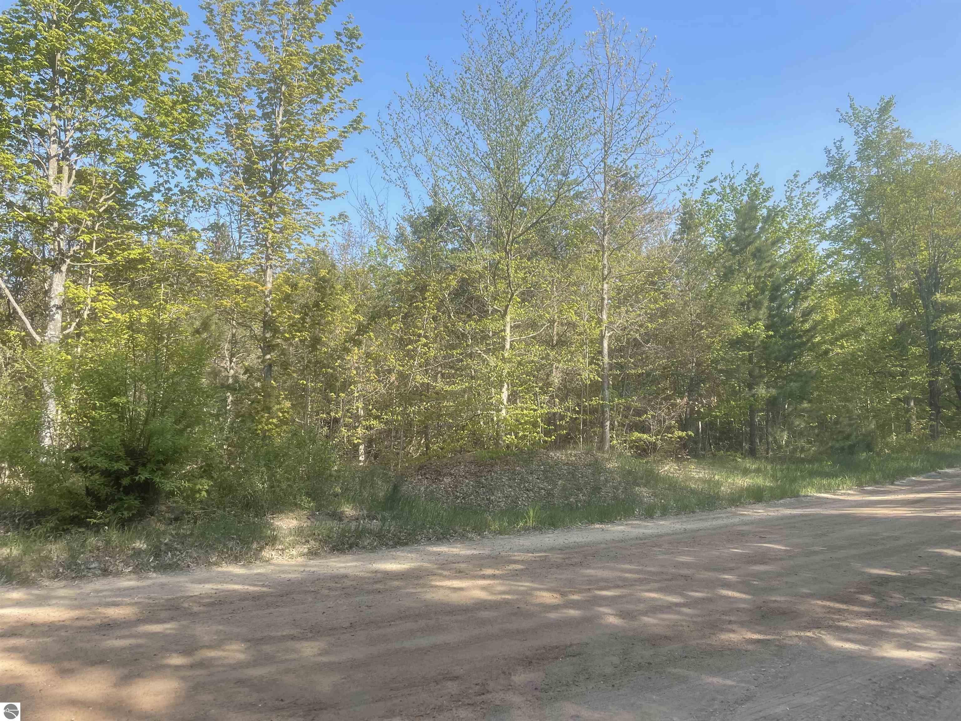 Lot E Betsie River Road  Interlochen MI 49643 photo