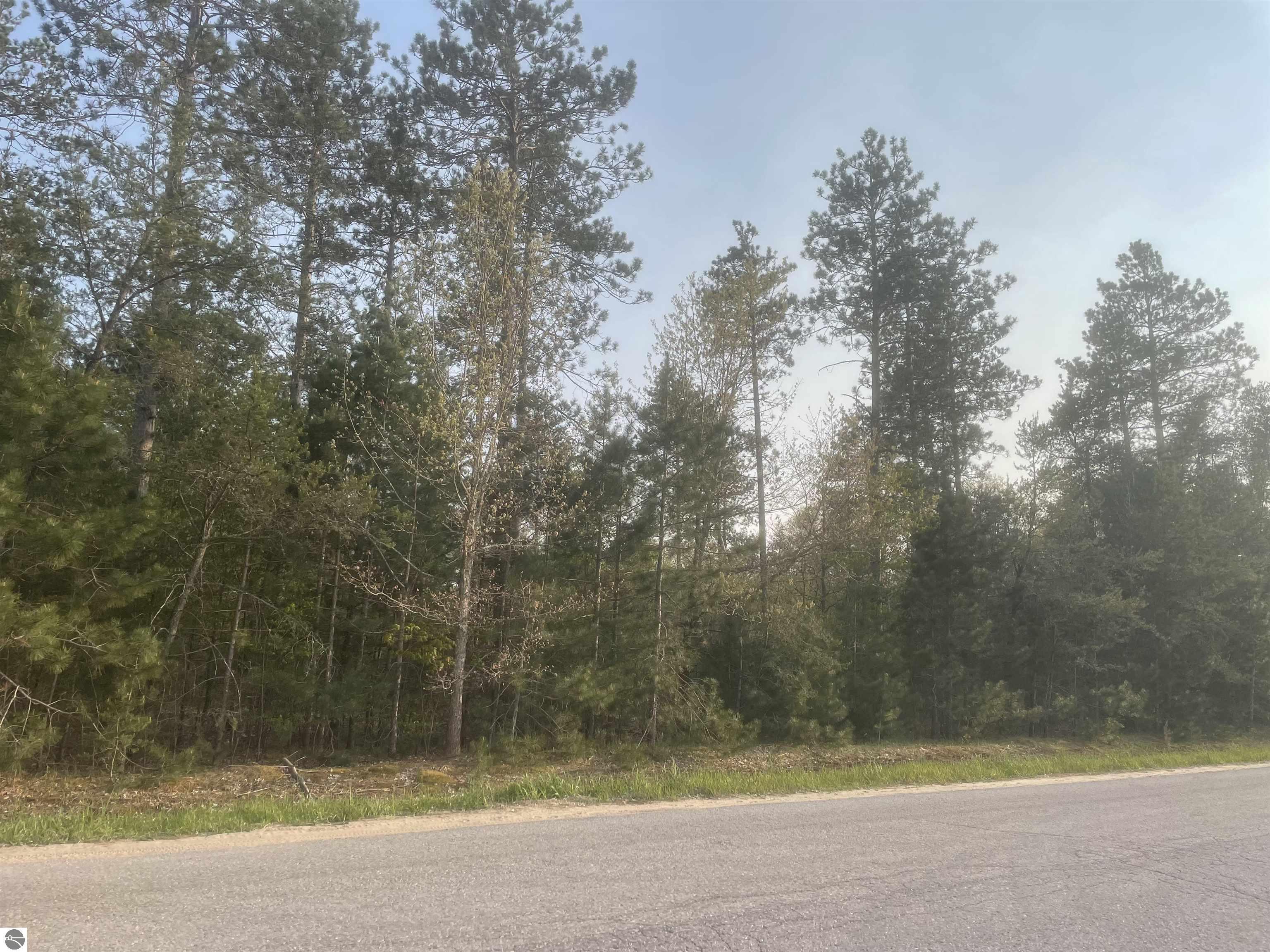 Lot G Riley Road  Interlochen MI 49643 photo