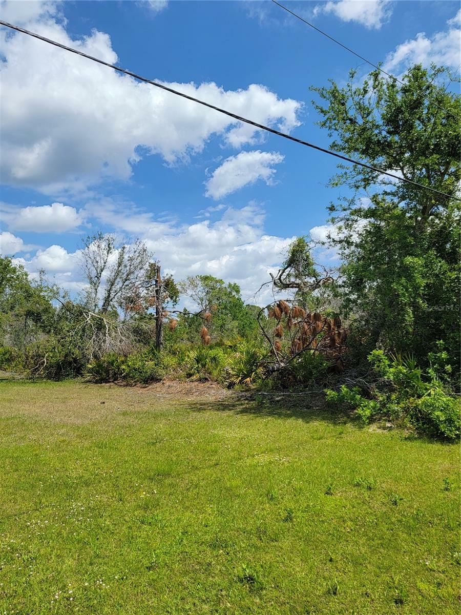 Property Photo:  12553 Proctor Avenue  FL 33981 