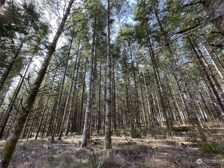 Property Photo: 0 Coma Road WA 98596