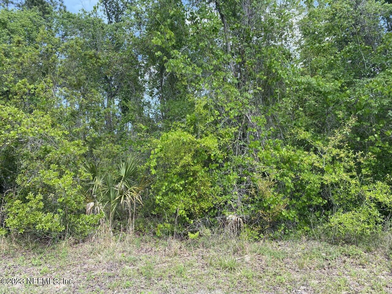 205 Ridge Road  Satsuma FL 32189 photo