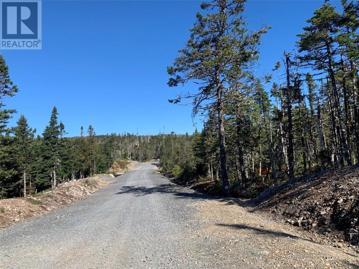 Property Photo:  Lot 28 Halleran Trail  NL A0B 1G0 