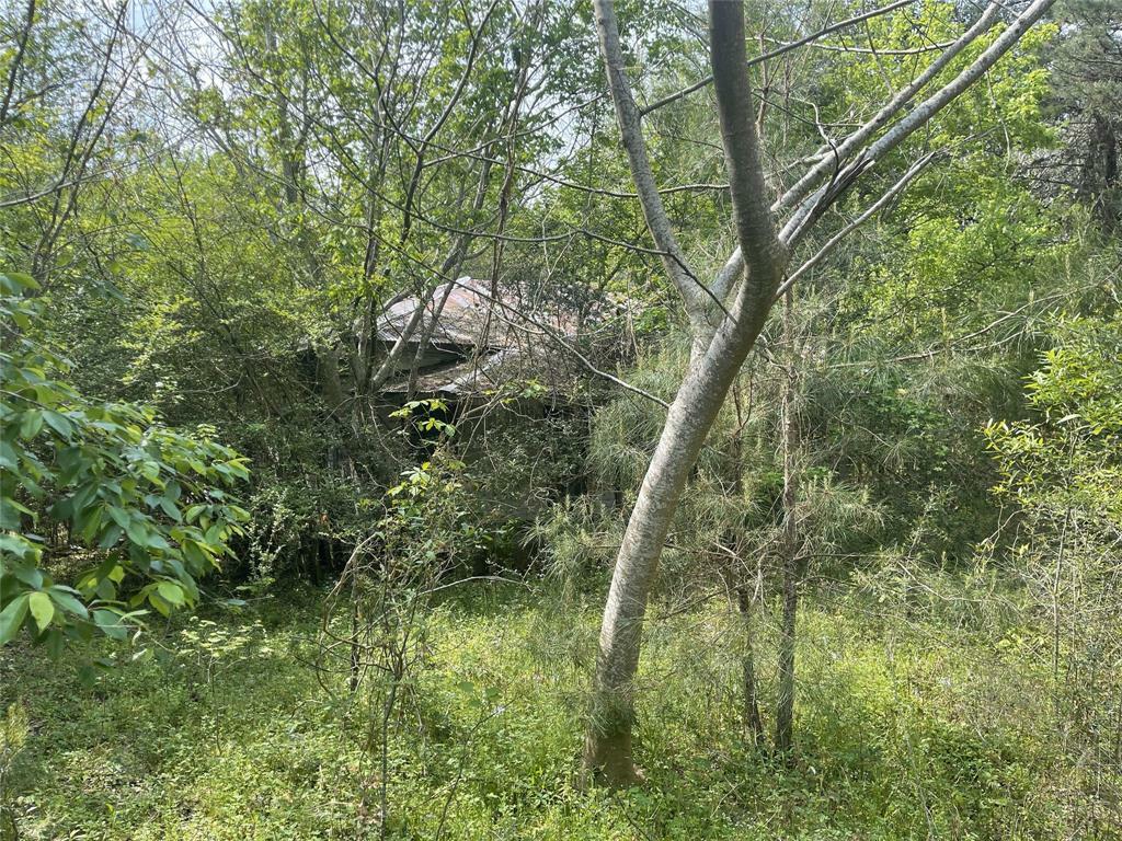 Property Photo:  826 Social Springs Road  LA 71068 