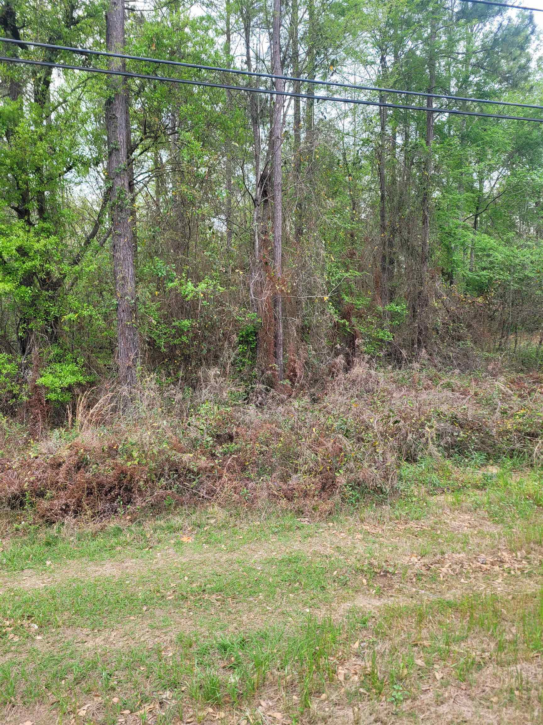 Property Photo:  Lot 1 Faceville Highway  GA 39819 