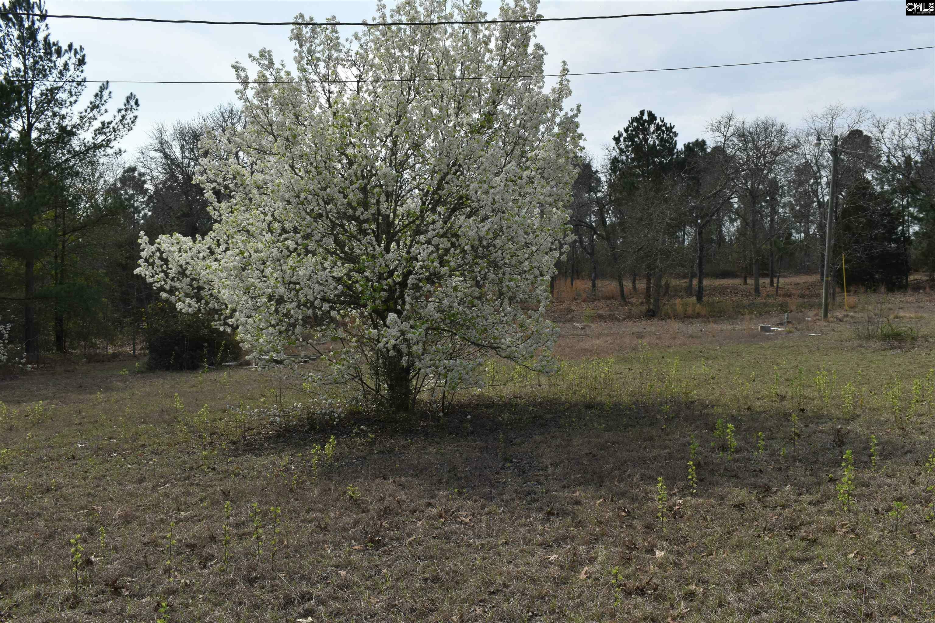 Property Photo: Tbd Sandra SC 29123