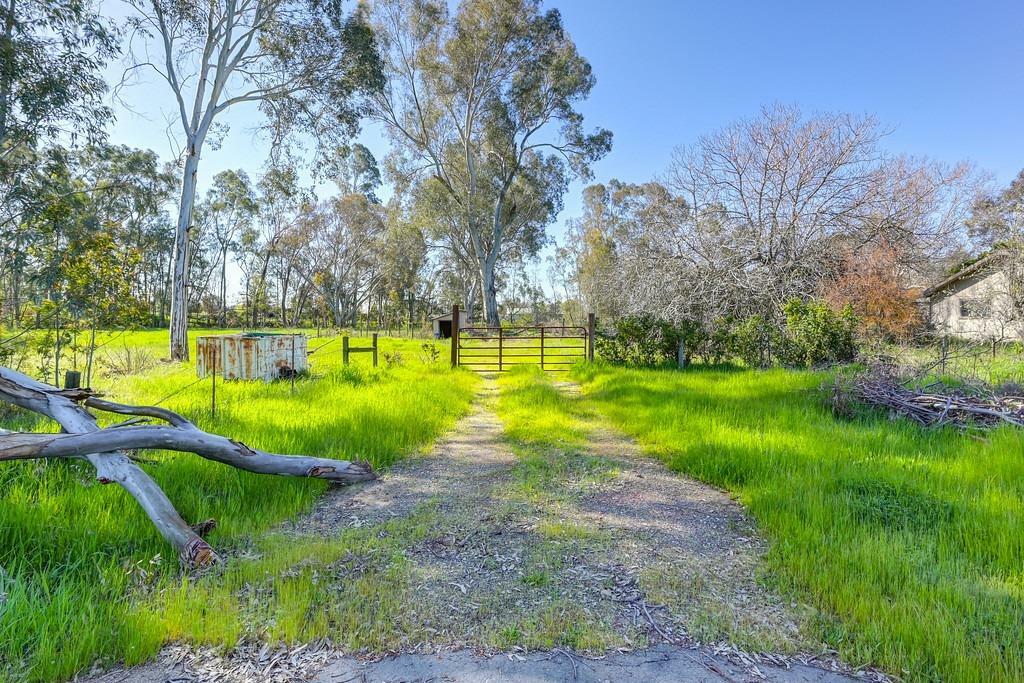 Property Photo:  9696 Sheldon Road  CA 95624 