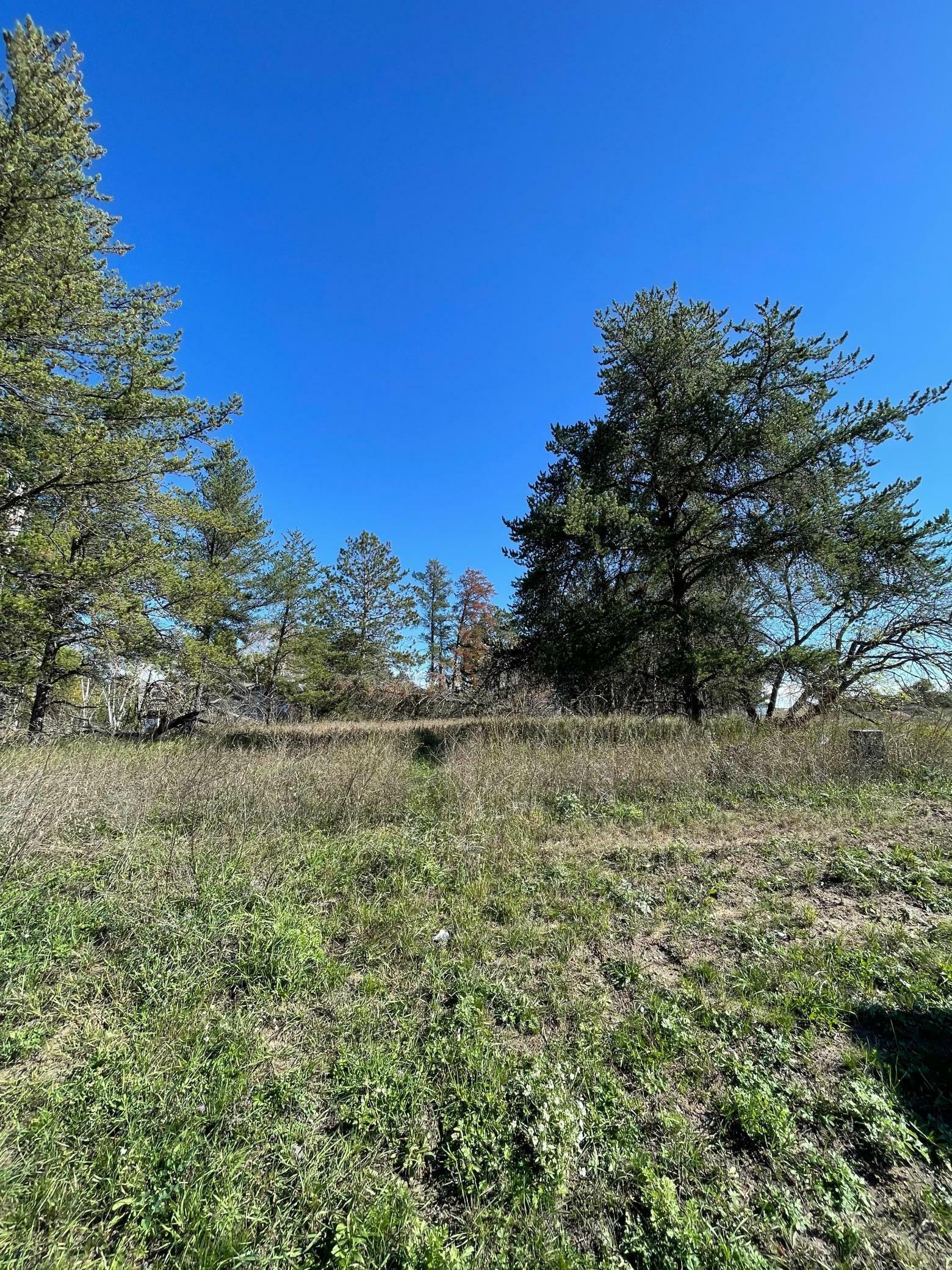 Property Photo:  Tbd Lot 5 Beartooth Avenue SW  MN 56601 