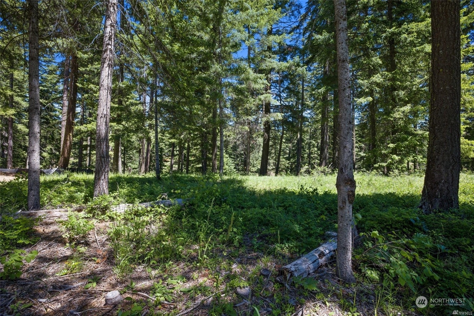 43 Rainbow Court  Cle Elum WA 98922 photo
